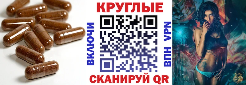 сколько стоит Выборг ЭКСТАЗИ Punisher