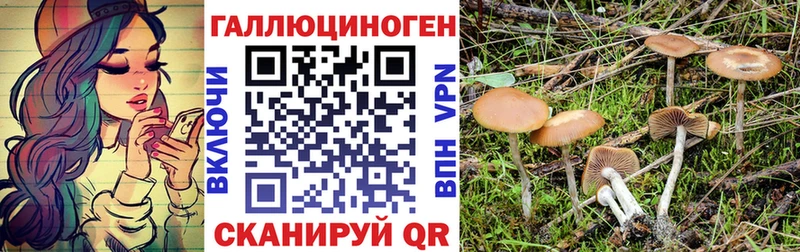 Галлюциногенные грибы мухоморы MEGA маркетплейс Выборг