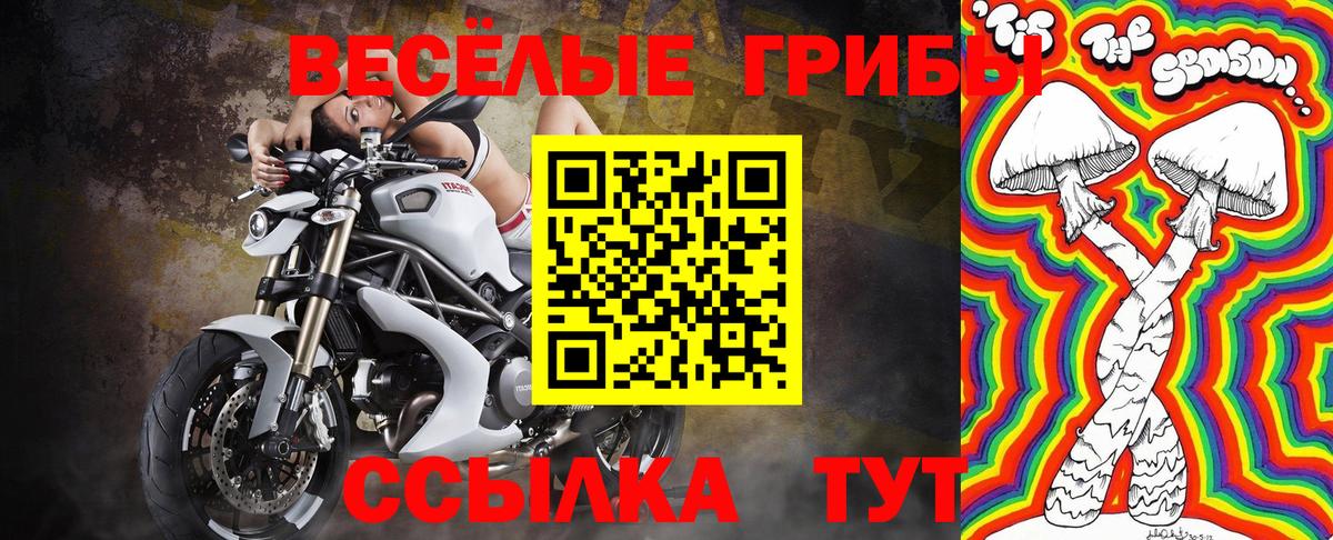 Псилоцибиновые грибы GOLDEN TEACHER  Псилоцибиновые грибы Psilocybe  Выборг 