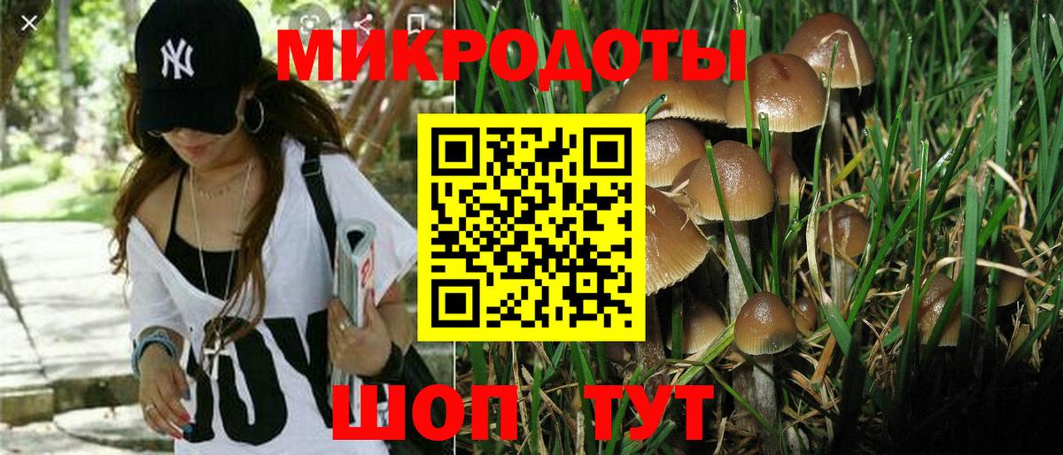 Выборг  Галлюциногенные грибы ЛСД  Вход с VPN 