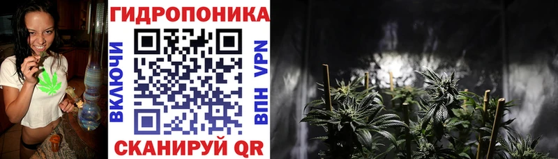 Бошки марихуана Bruce Banner  маркетплейс официальный сайт  Выборг 